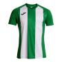 camiseta-manga-corta-joma-inter-iv-verde-blanco-imag1