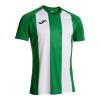 camiseta-manga-corta-joma-inter-iv-verde-blanco-imag2