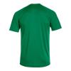 camiseta-manga-corta-joma-inter-iv-verde-blanco-imag3